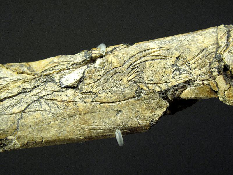 Aquitanien (184).JPG